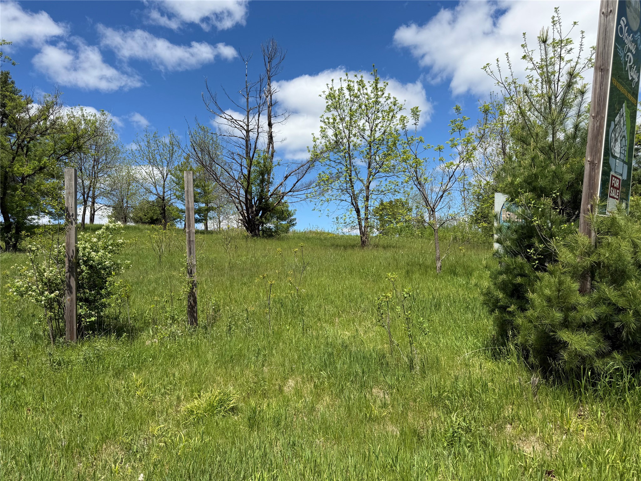 Lots 84-88 Van Buren Street Black River Falls WI 54615 1601407 image13