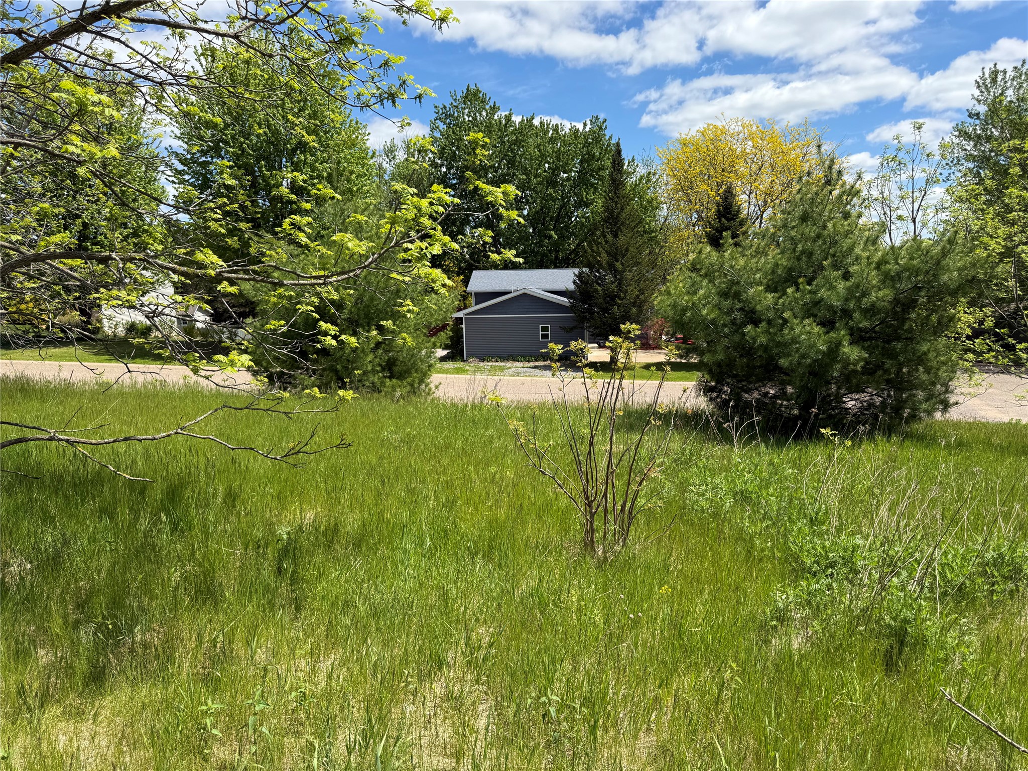 Lots 84-88 Van Buren Street Black River Falls WI 54615 1601407 image14