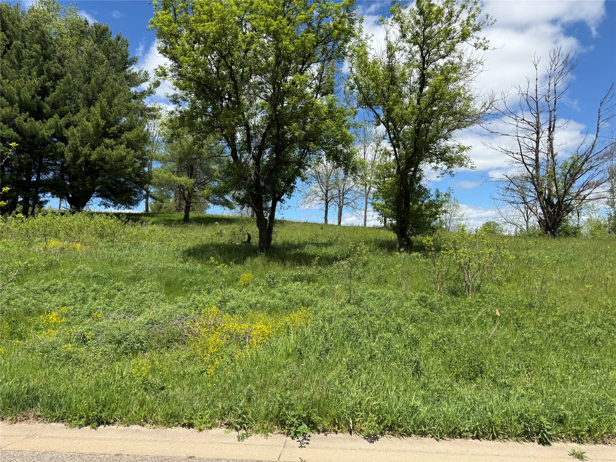 Lots 84-88 Van Buren Street Black River Falls WI 54615 1601407 image16