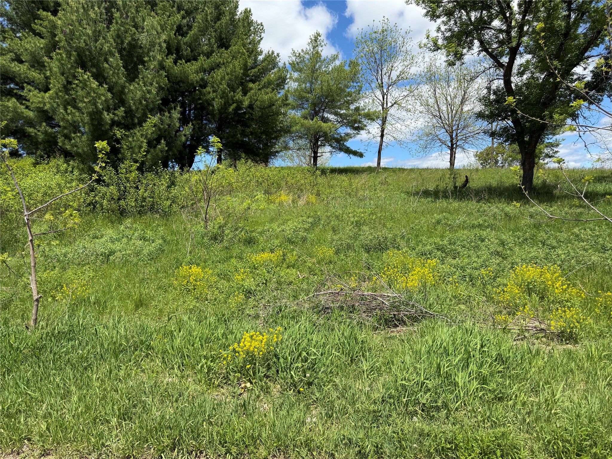 Lots 84-88 Van Buren Street Black River Falls WI 54615 1601407 image17