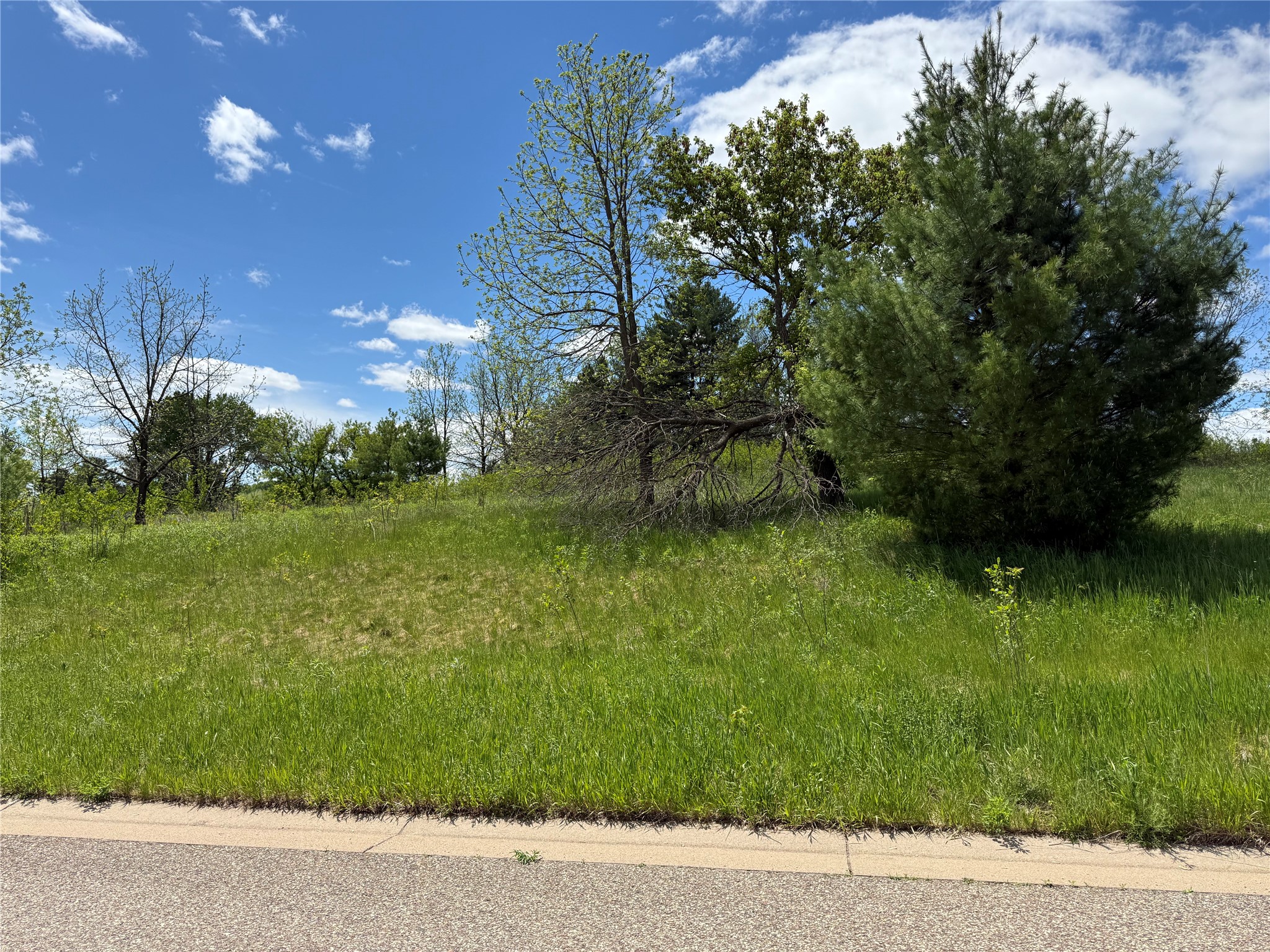 Lots 84-88 Van Buren Street Black River Falls WI 54615 1601407 image2