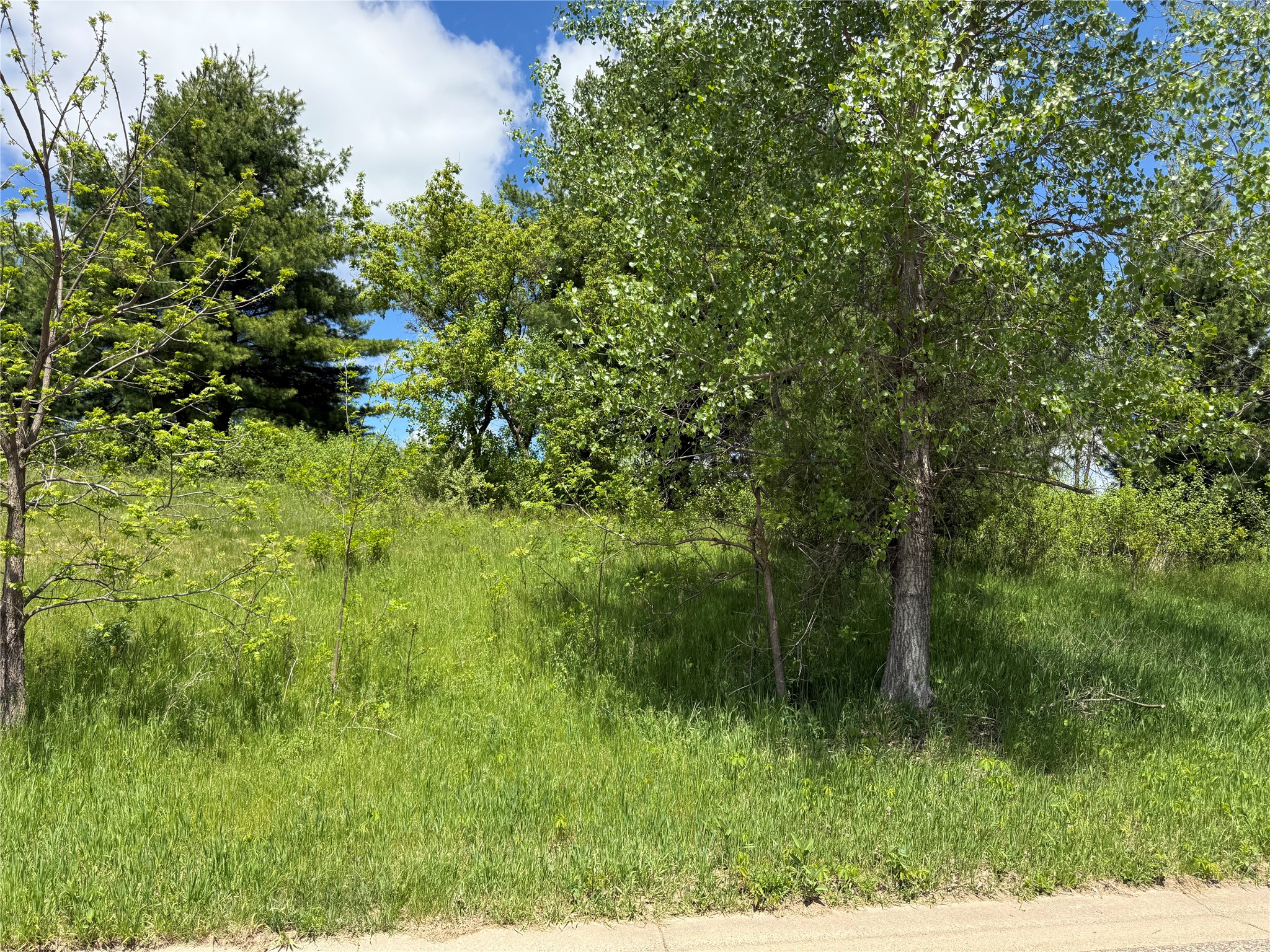Lots 84-88 Van Buren Street Black River Falls WI 54615 1601407 image21