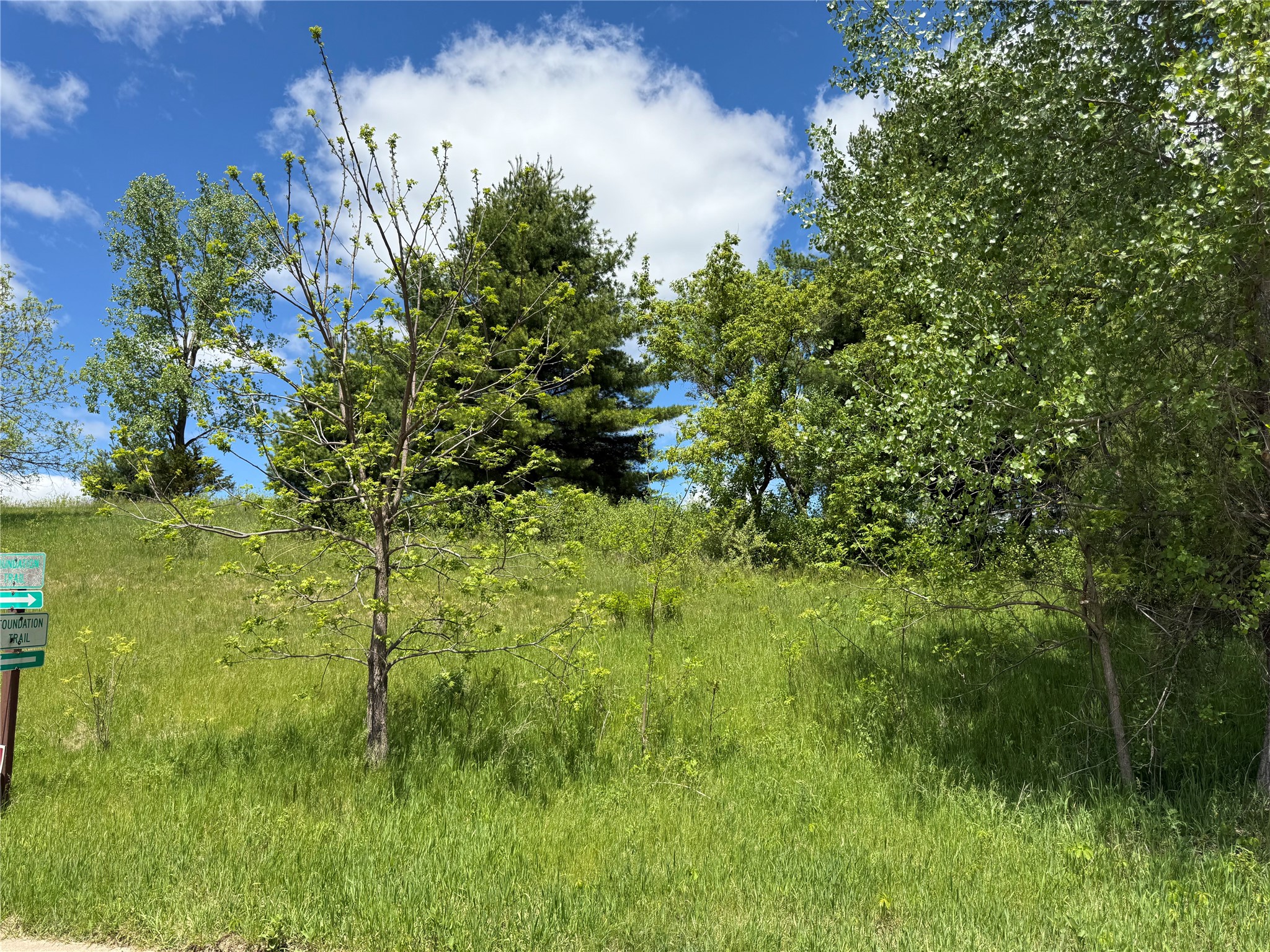 Lots 84-88 Van Buren Street Black River Falls WI 54615 1601407 image22