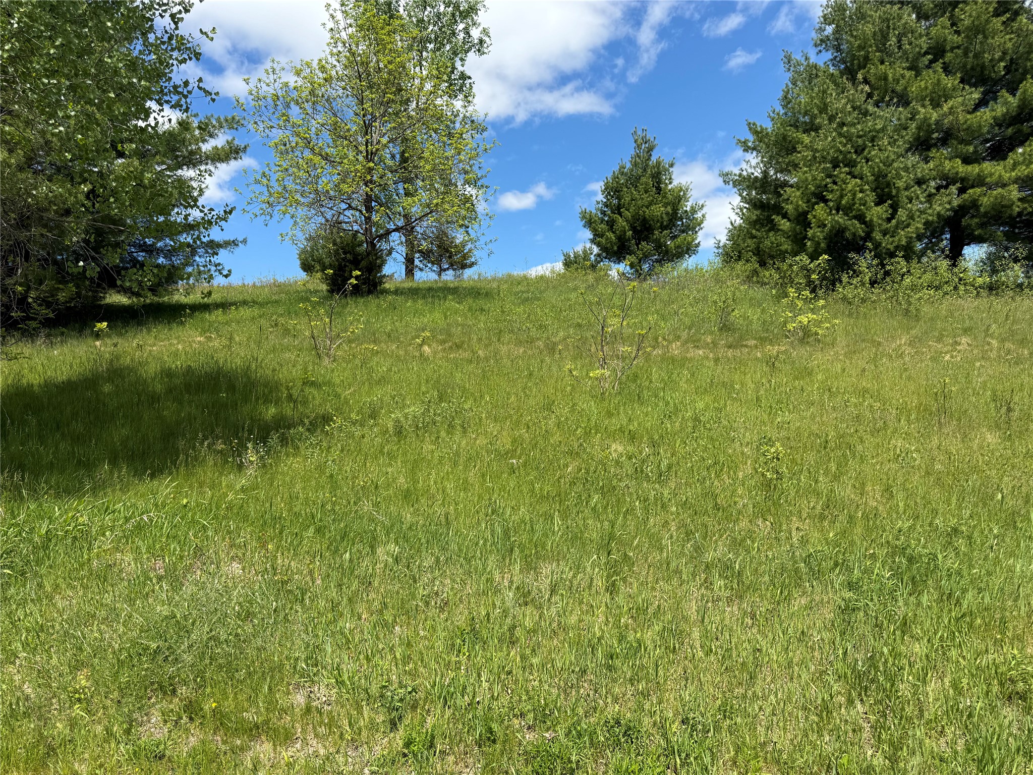 Lots 84-88 Van Buren Street Black River Falls WI 54615 1601407 image26