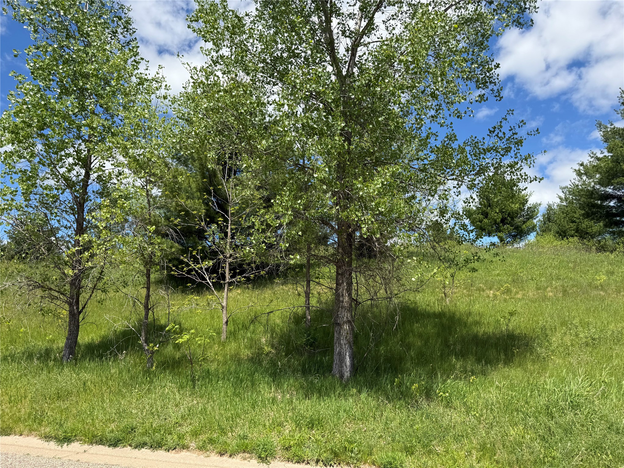 Lots 84-88 Van Buren Street Black River Falls WI 54615 1601407 image27