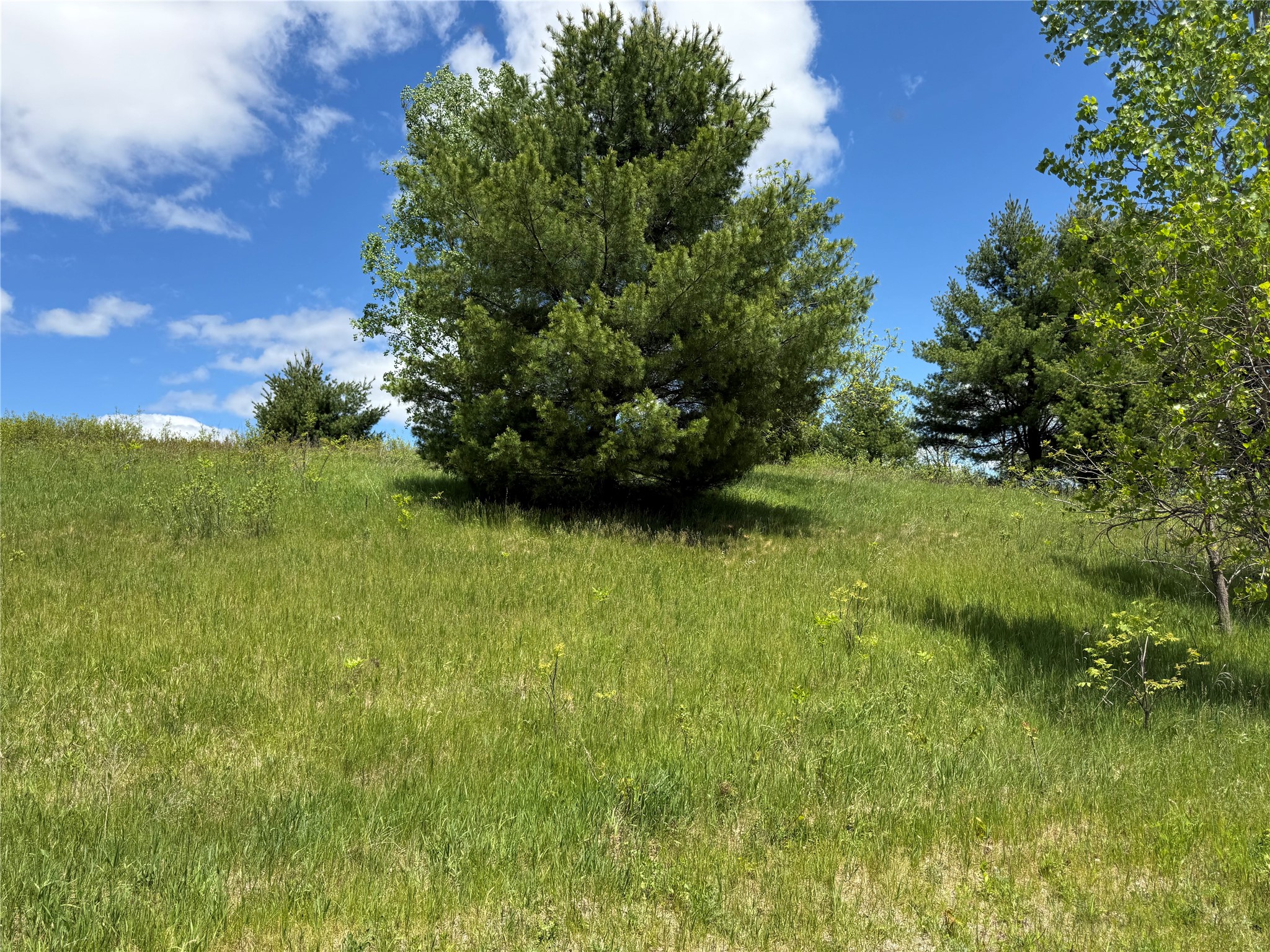 Lots 84-88 Van Buren Street Black River Falls WI 54615 1601407 image28