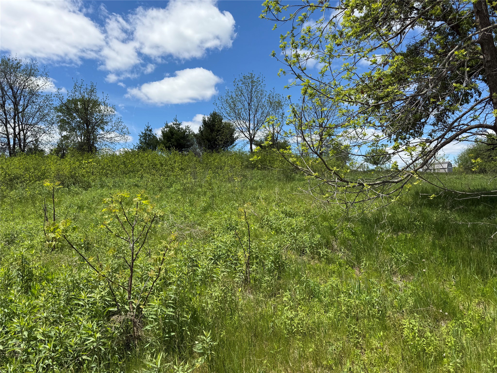 Lots 84-88 Van Buren Street Black River Falls WI 54615 1601407 image3