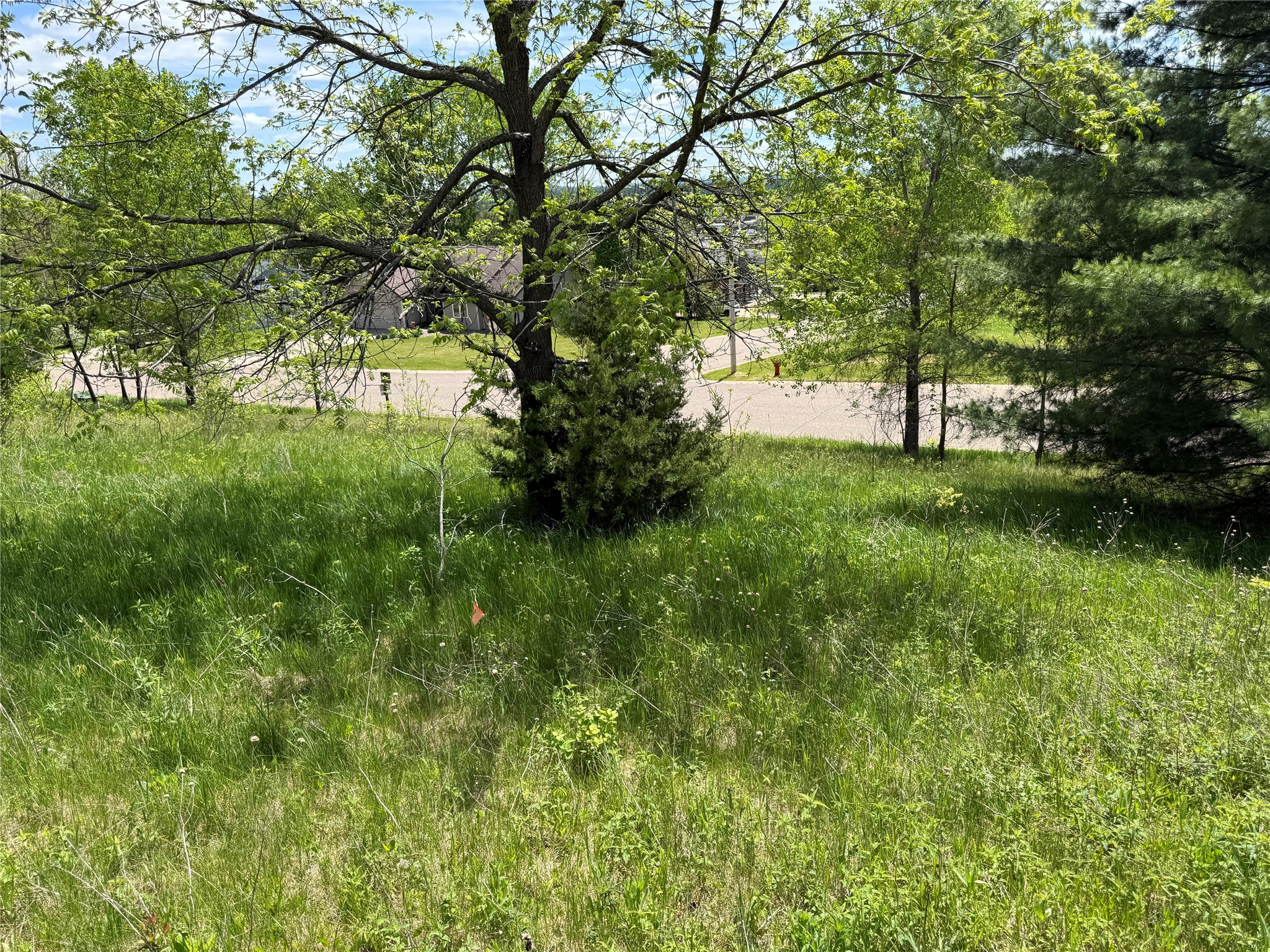 Lots 84-88 Van Buren Street Black River Falls WI 54615 1601407 image30