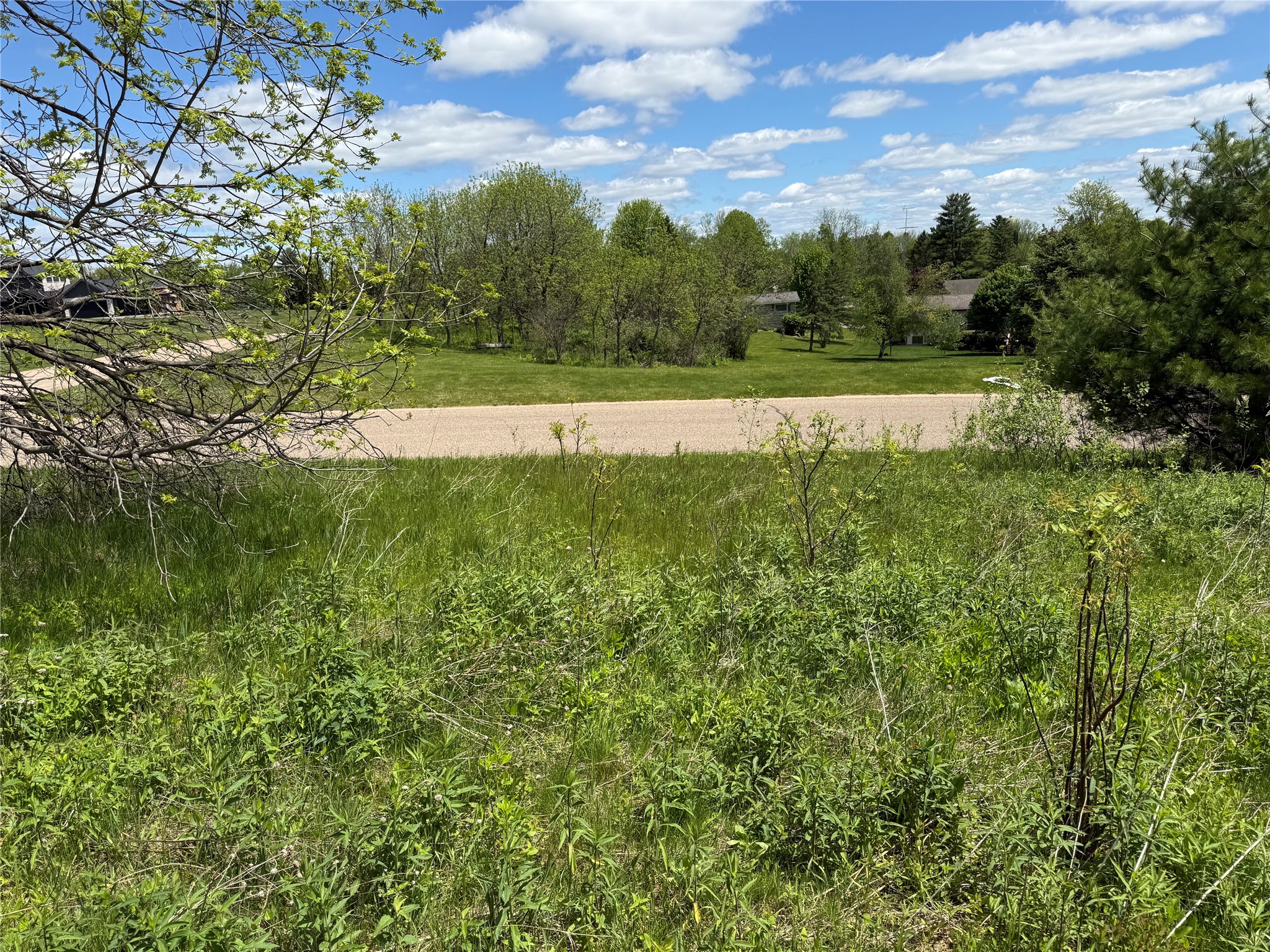 Lots 84-88 Van Buren Street Black River Falls WI 54615 1601407 image4