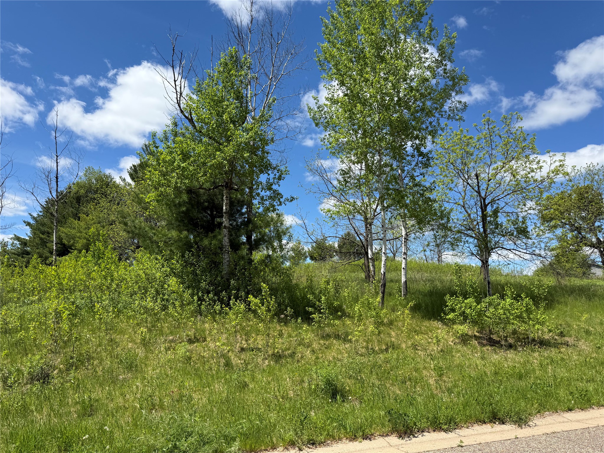 Lots 84-88 Van Buren Street Black River Falls WI 54615 1601407 image6