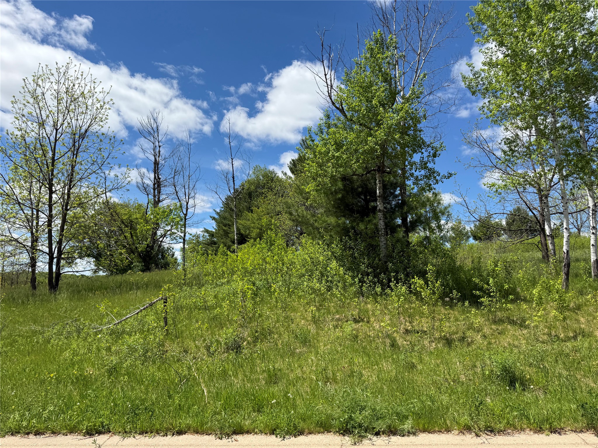 Lots 84-88 Van Buren Street Black River Falls WI 54615 1601407 image7