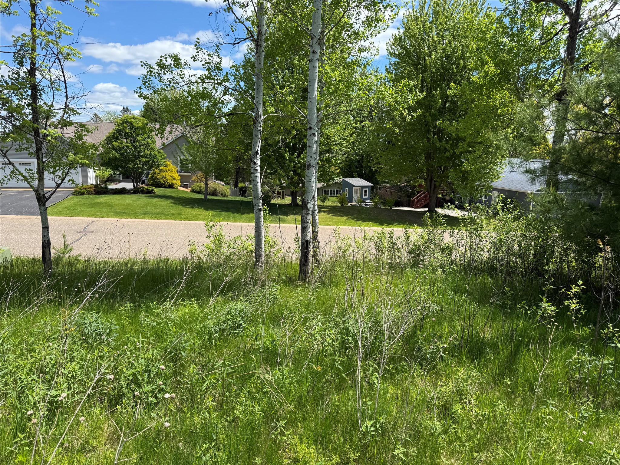 Lots 84-88 Van Buren Street Black River Falls WI 54615 1601407 image8
