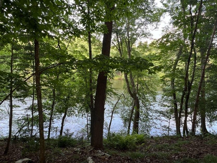 Lots 9 & 10 538th Street Menomonie WI 54751 - Red Cedar River 1581636 image1