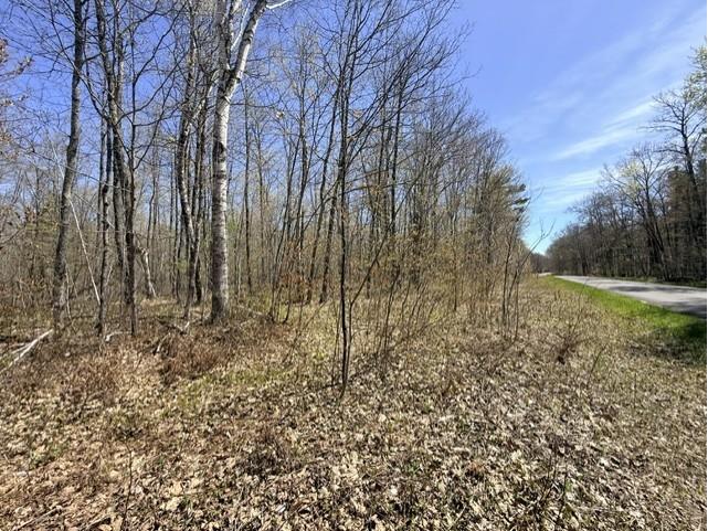 Lots 9 & 10 Peninsula Road Hayward WI 54843 1601073 image1
