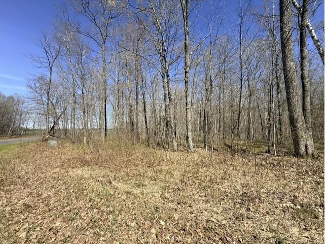 Lots 9 & 10 Peninsula Road Hayward WI 54843 1601073 image2