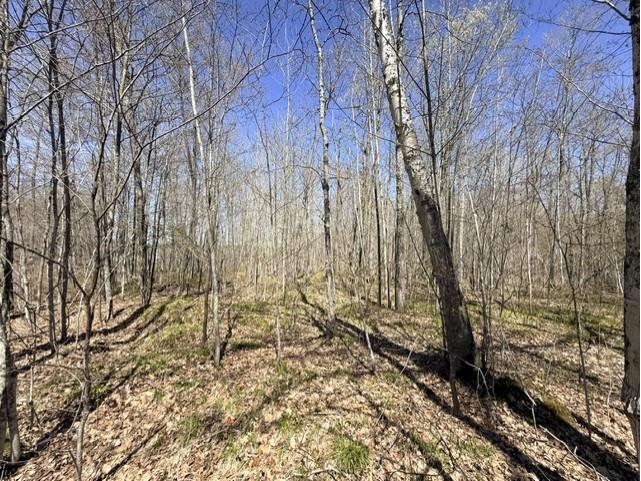 Lots 9 & 10 Peninsula Road Hayward WI 54843 1601073 image4