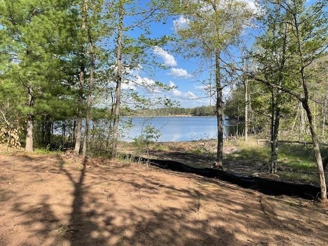 N 11798 Bluebird Trail Trego WI 54888 - South Twin Lake 1600535 image1
