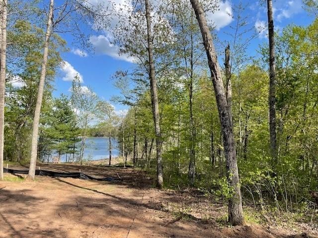 N 11798 Bluebird Trail Trego WI 54888 - South Twin Lake 1600535 image10