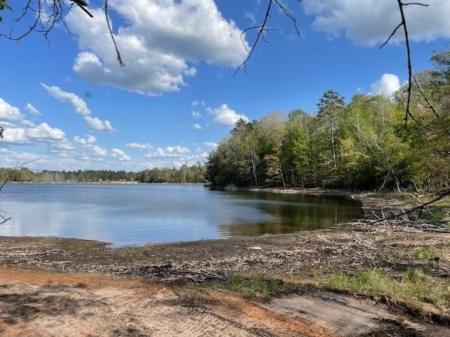 N 11798 Bluebird Trail Trego WI 54888 - South Twin Lake 1600535 image11