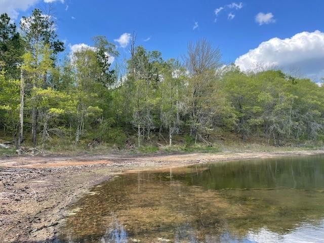 N 11798 Bluebird Trail Trego WI 54888 - South Twin Lake 1600535 image13