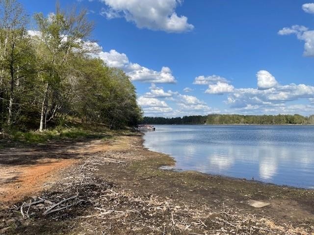 N 11798 Bluebird Trail Trego WI 54888 - South Twin Lake 1600535 image15