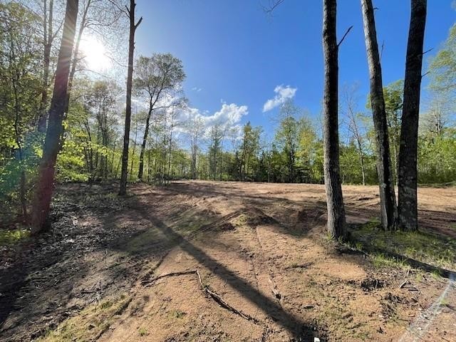 N 11798 Bluebird Trail Trego WI 54888 - South Twin Lake 1600535 image18