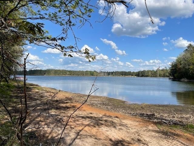 N 11798 Bluebird Trail Trego WI 54888 - South Twin Lake 1600535 image2
