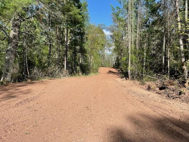 N 11798 Bluebird Trail Trego WI 54888 - South Twin Lake 1600535 image6