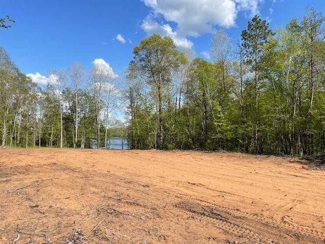 N 11798 Bluebird Trail Trego WI 54888 - South Twin Lake 1600535 image7