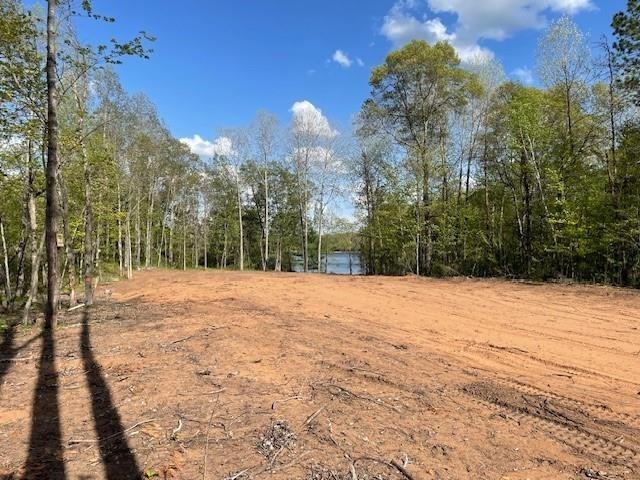 N 11798 Bluebird Trail Trego WI 54888 - South Twin Lake 1600535 image8