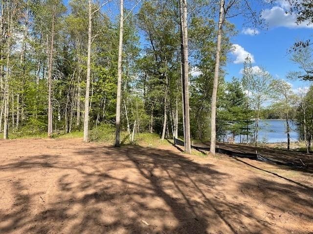 N 11798 Bluebird Trail Trego WI 54888 - South Twin Lake 1600535 image9
