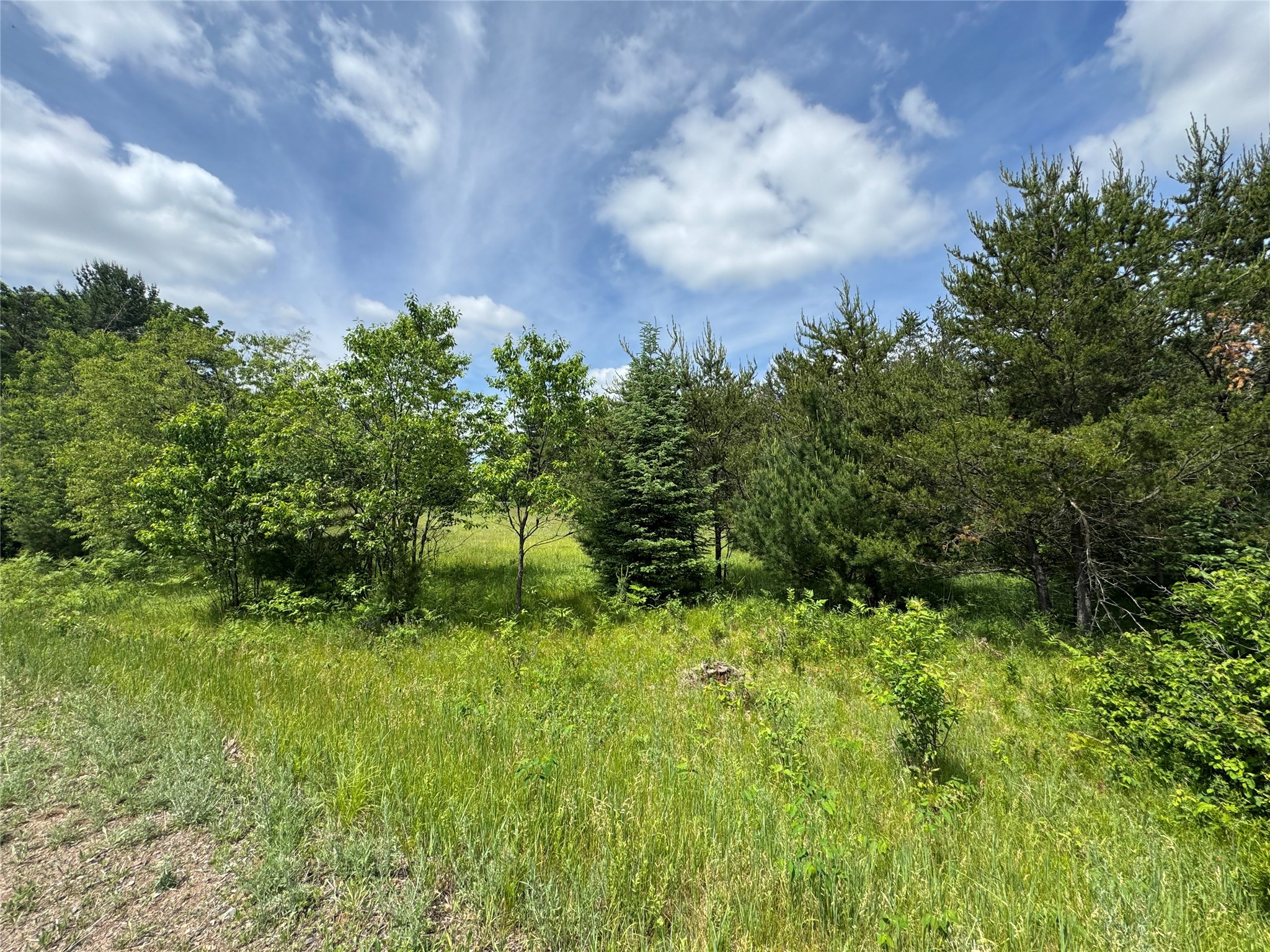 N 6398 Fred Tripp Road Springbrook WI 54875 - MacKay 1602077 image10