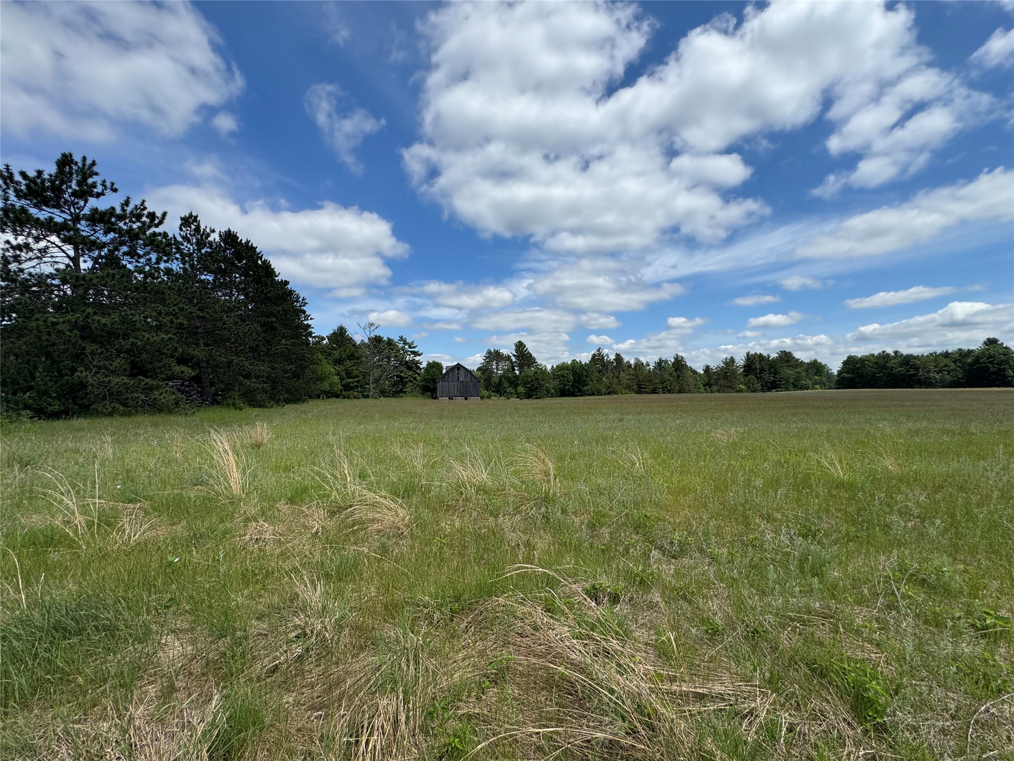 N 6398 Fred Tripp Road Springbrook WI 54875 - MacKay 1602077 image15