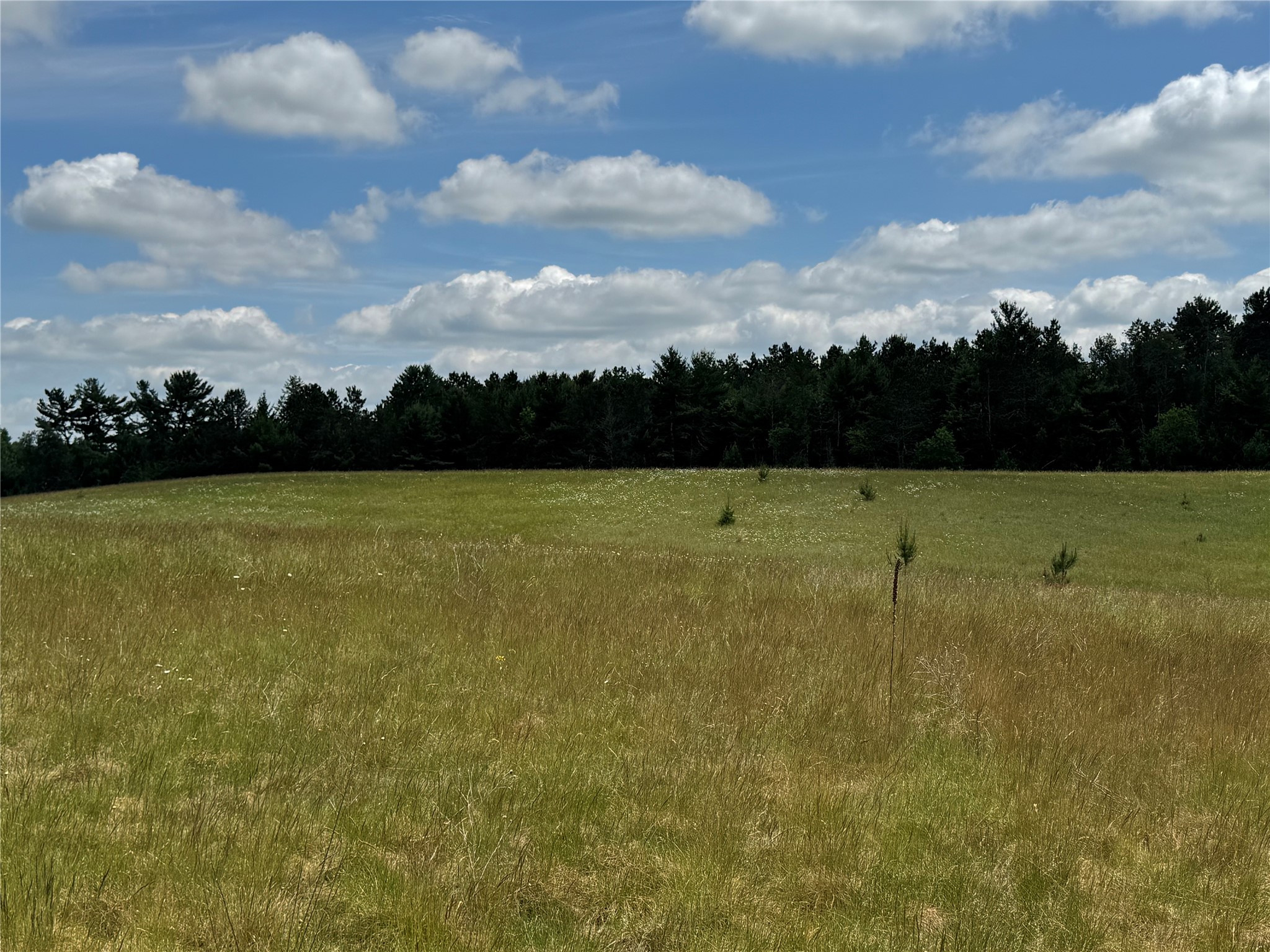 N 6398 Fred Tripp Road Springbrook WI 54875 - MacKay 1602077 image27