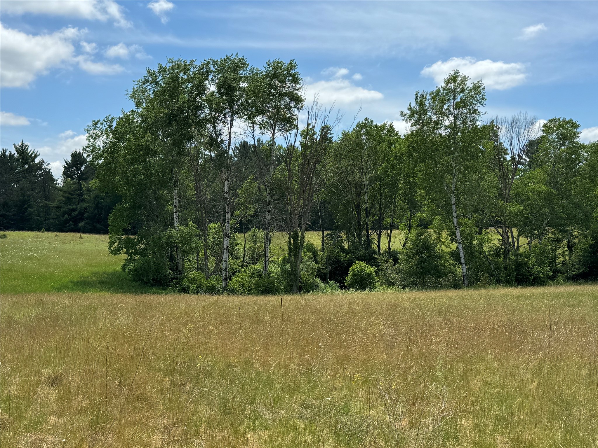 N 6398 Fred Tripp Road Springbrook WI 54875 - MacKay 1602077 image28