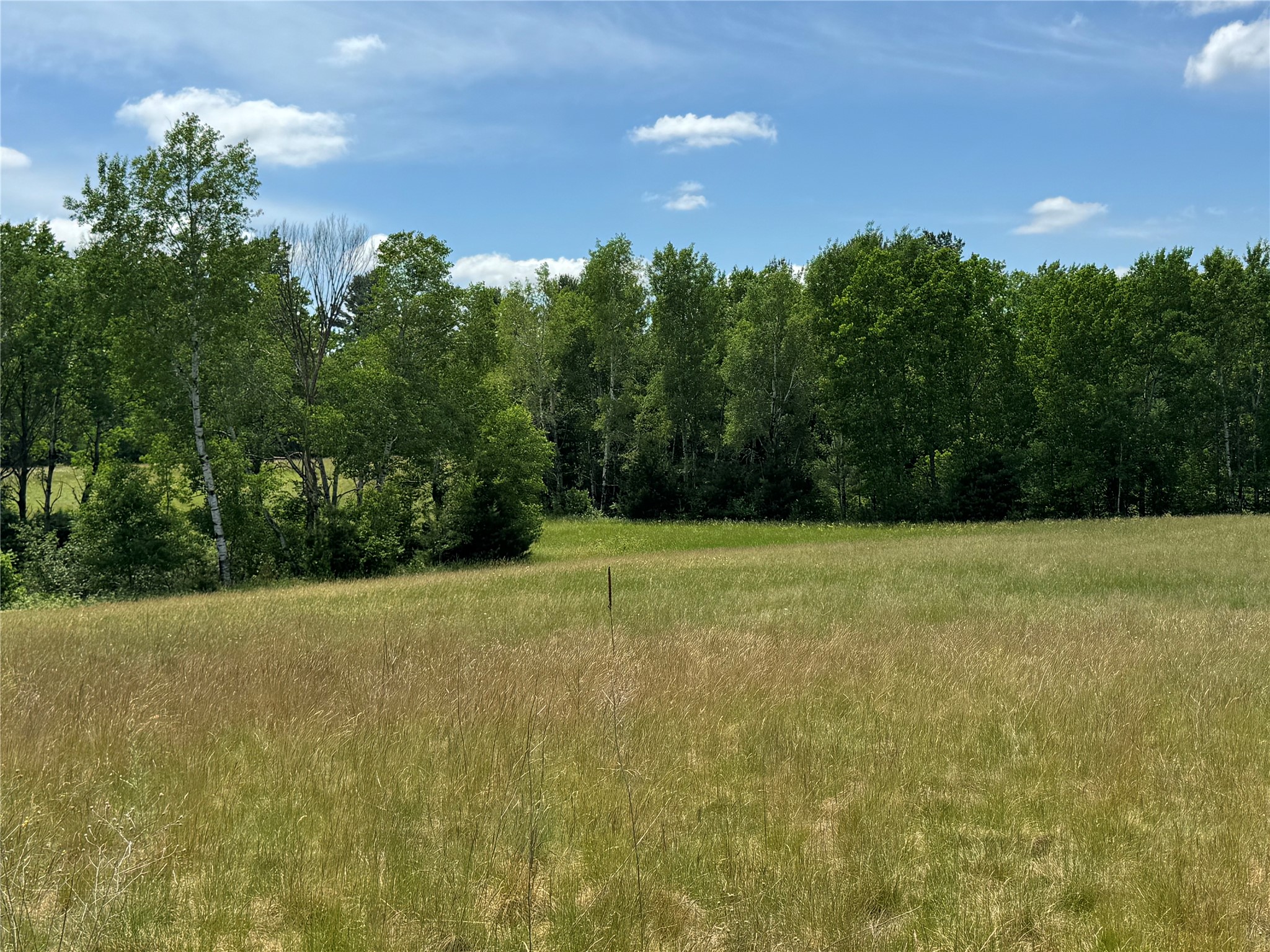 N 6398 Fred Tripp Road Springbrook WI 54875 - MacKay 1602077 image29