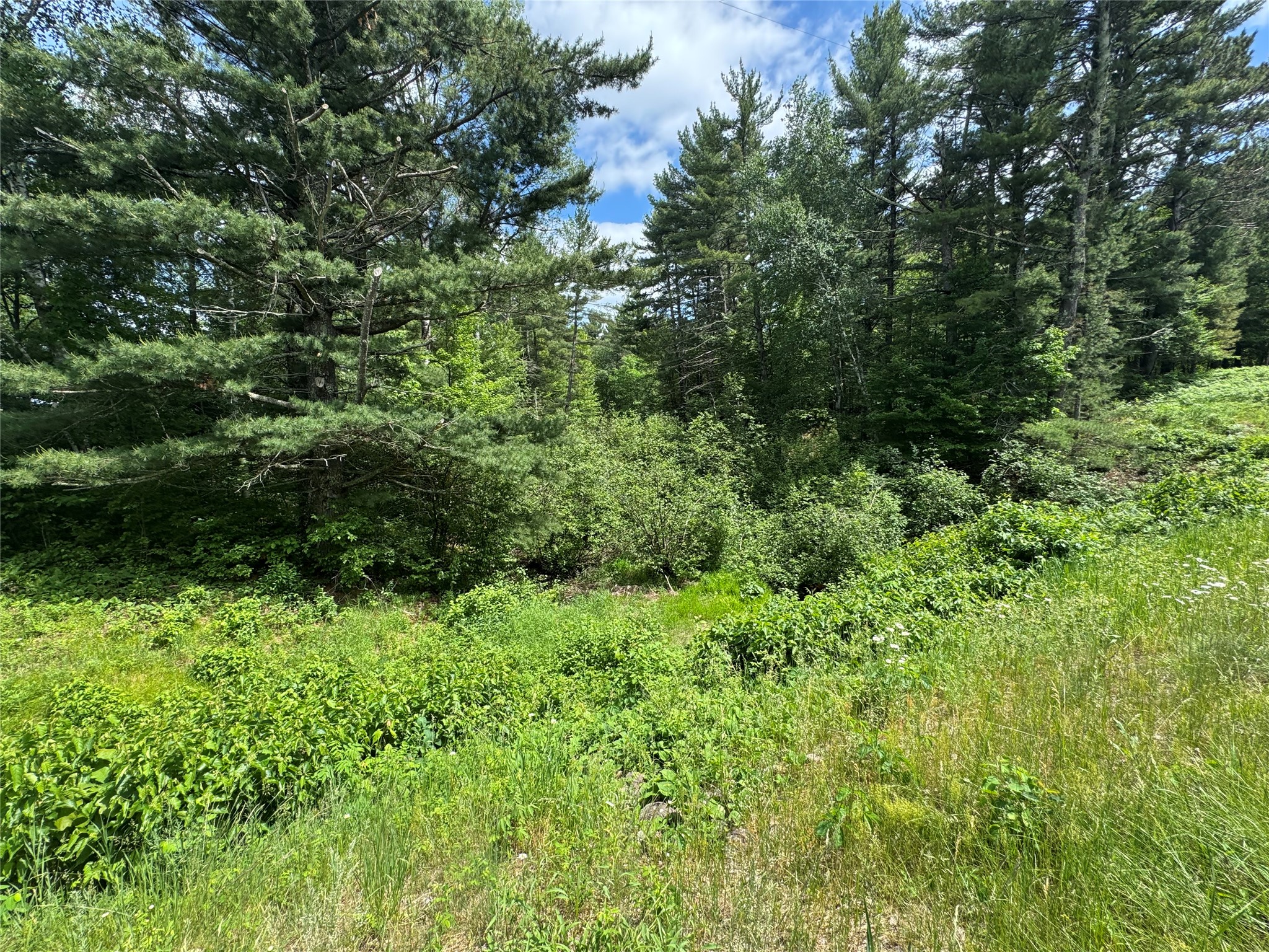 N 6398 Fred Tripp Road Springbrook WI 54875 - MacKay 1602077 image3