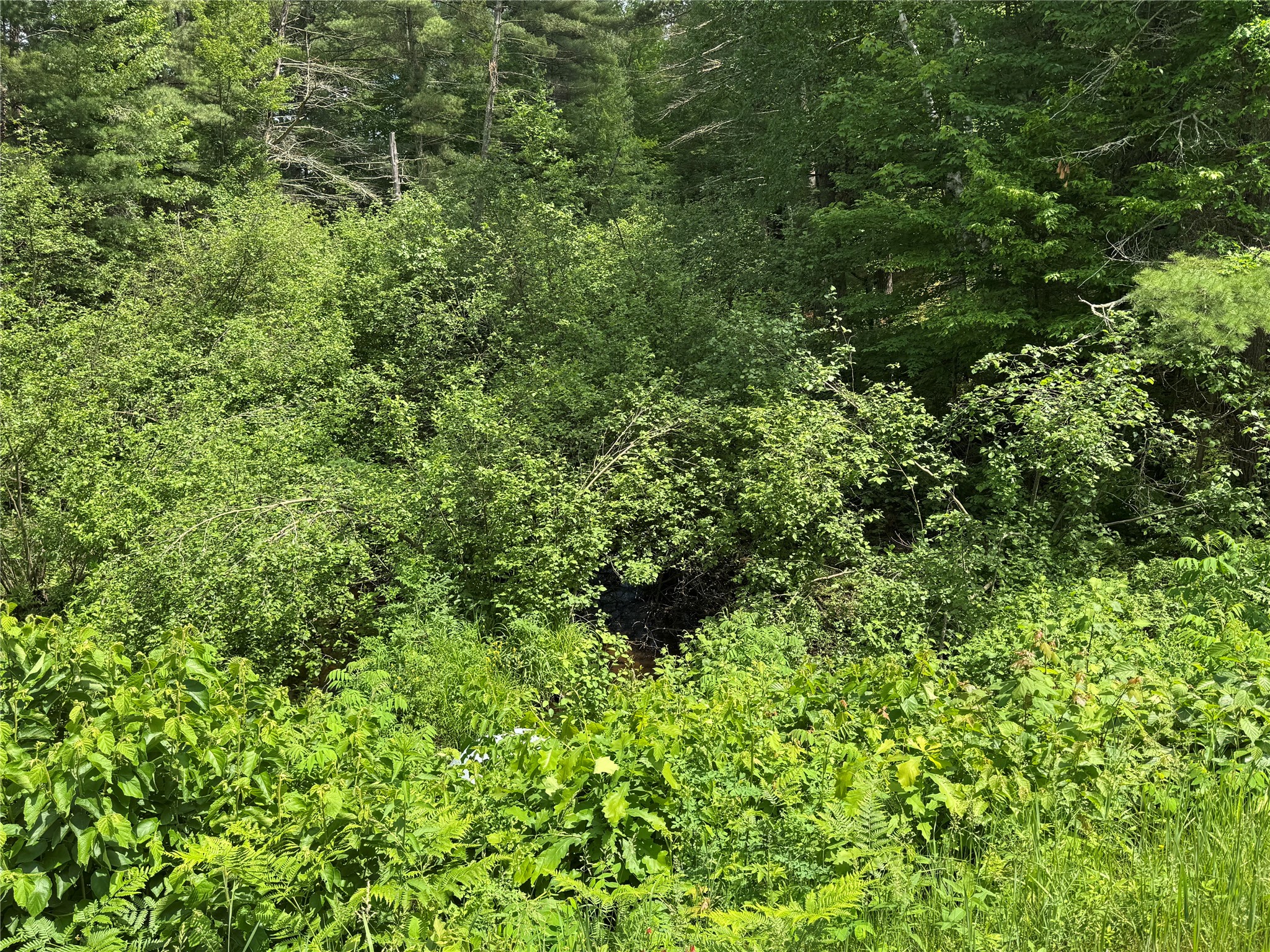 N 6398 Fred Tripp Road Springbrook WI 54875 - MacKay 1602077 image4