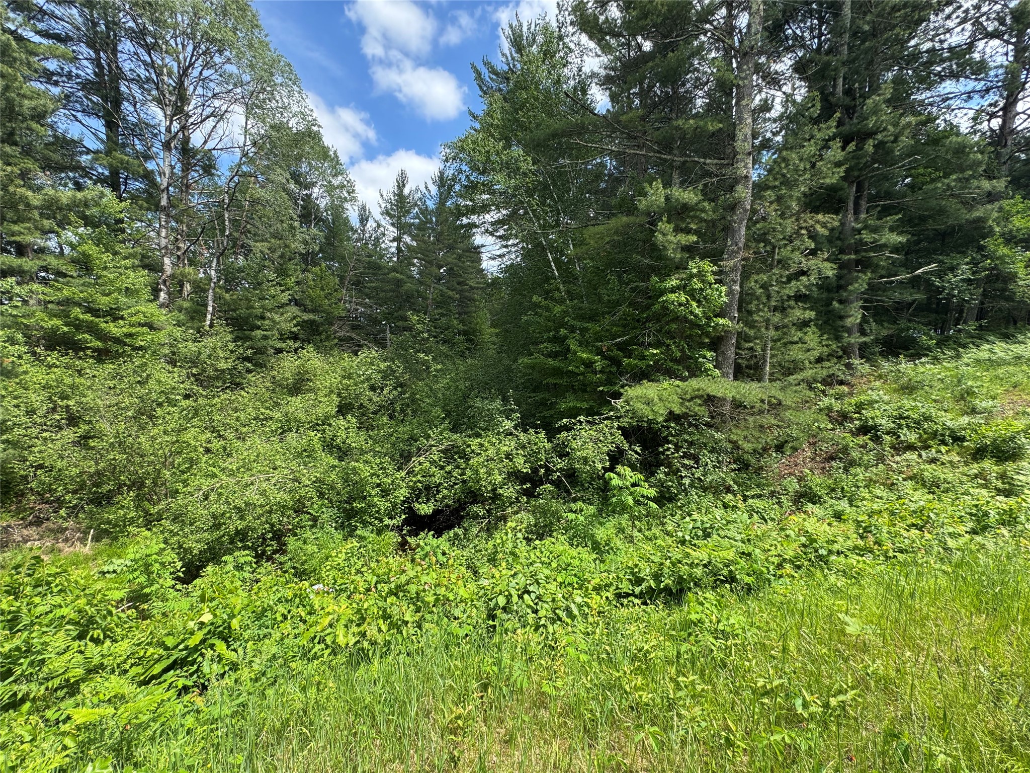 N 6398 Fred Tripp Road Springbrook WI 54875 - MacKay 1602077 image5