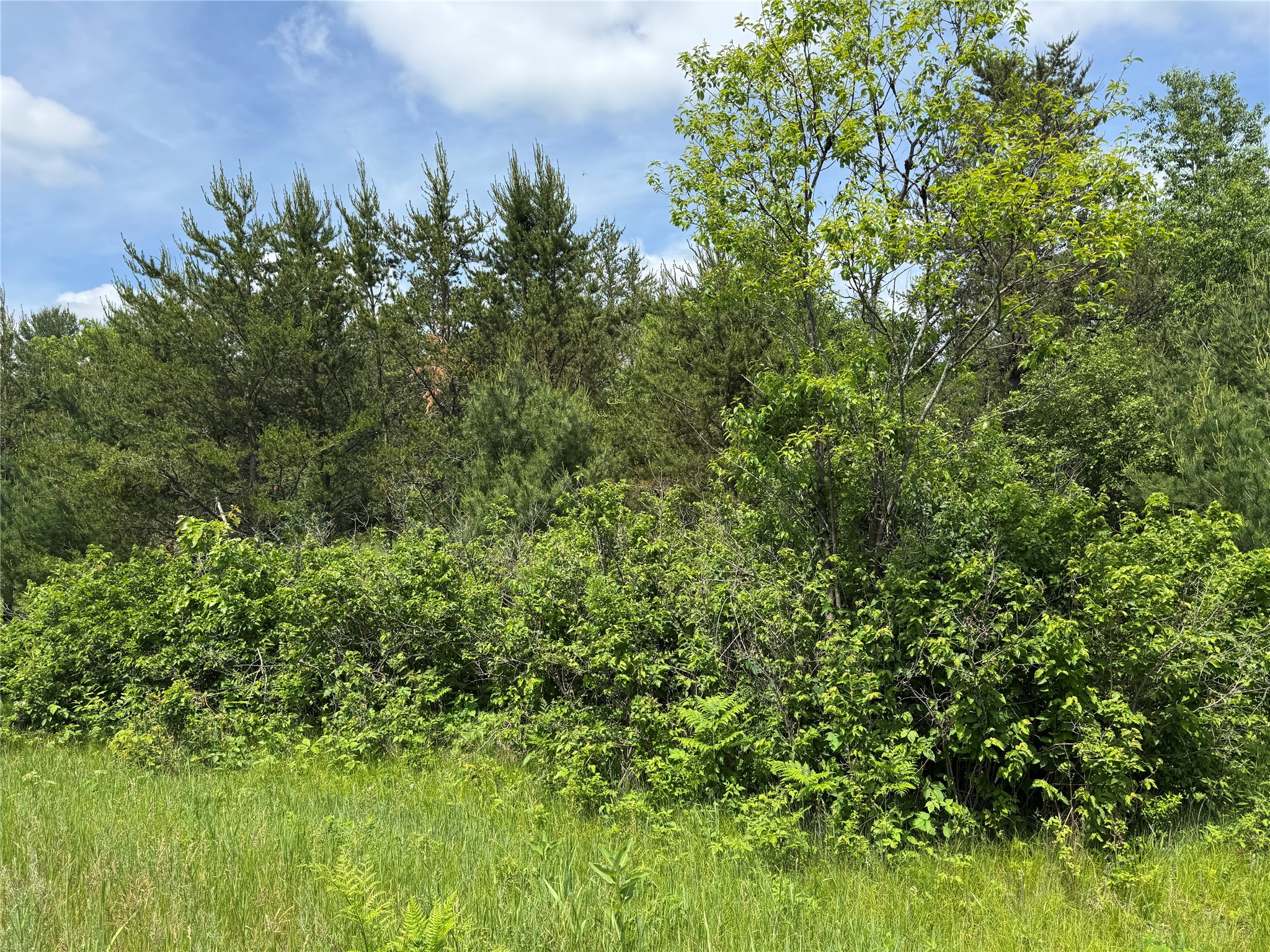 N 6398 Fred Tripp Road Springbrook WI 54875 - MacKay 1602077 image8