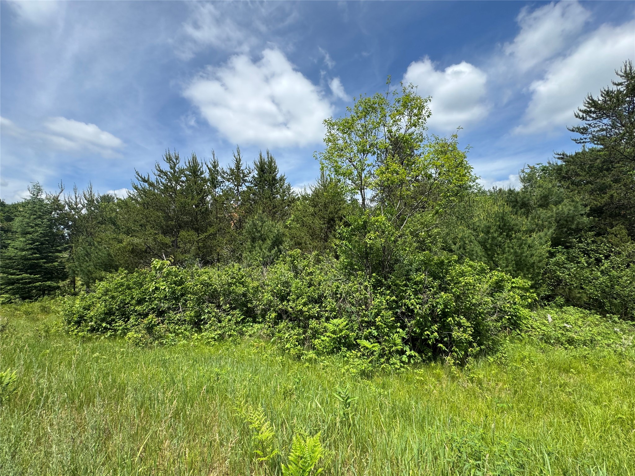 N 6398 Fred Tripp Road Springbrook WI 54875 - MacKay 1602077 image9