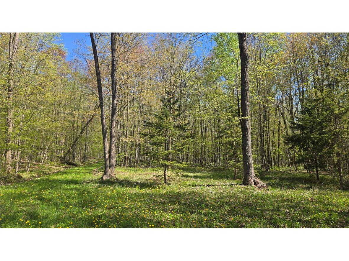 N 900 Joes Road Conrath WI 54731 - Branch of Main Creek 1594406 image1