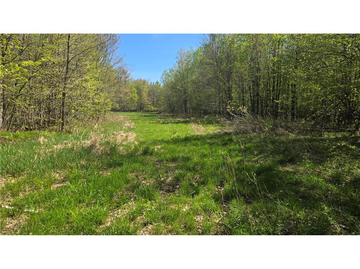 N 900 Joes Road Conrath WI 54731 - Branch of Main Creek 1594406 image11