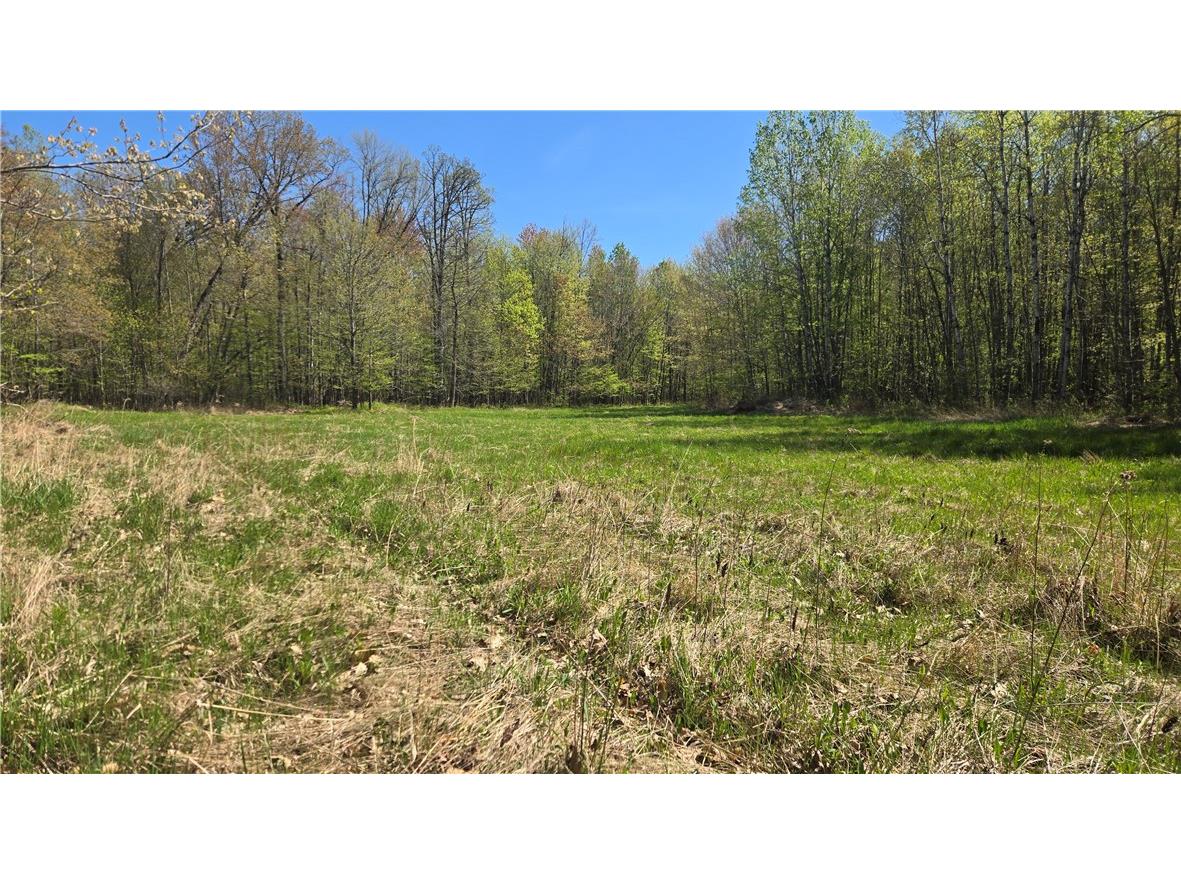 N 900 Joes Road Conrath WI 54731 - Branch of Main Creek 1594406 image13