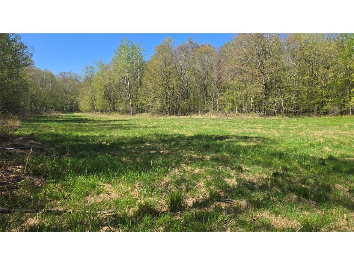 N 900 Joes Road Conrath WI 54731 - Branch of Main Creek 1594406 image15