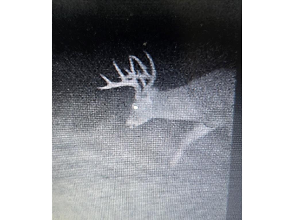 N 900 Joes Road Conrath WI 54731 - Branch of Main Creek 1594406 image16