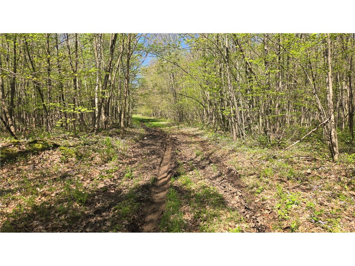 N 900 Joes Road Conrath WI 54731 - Branch of Main Creek 1594406 image17