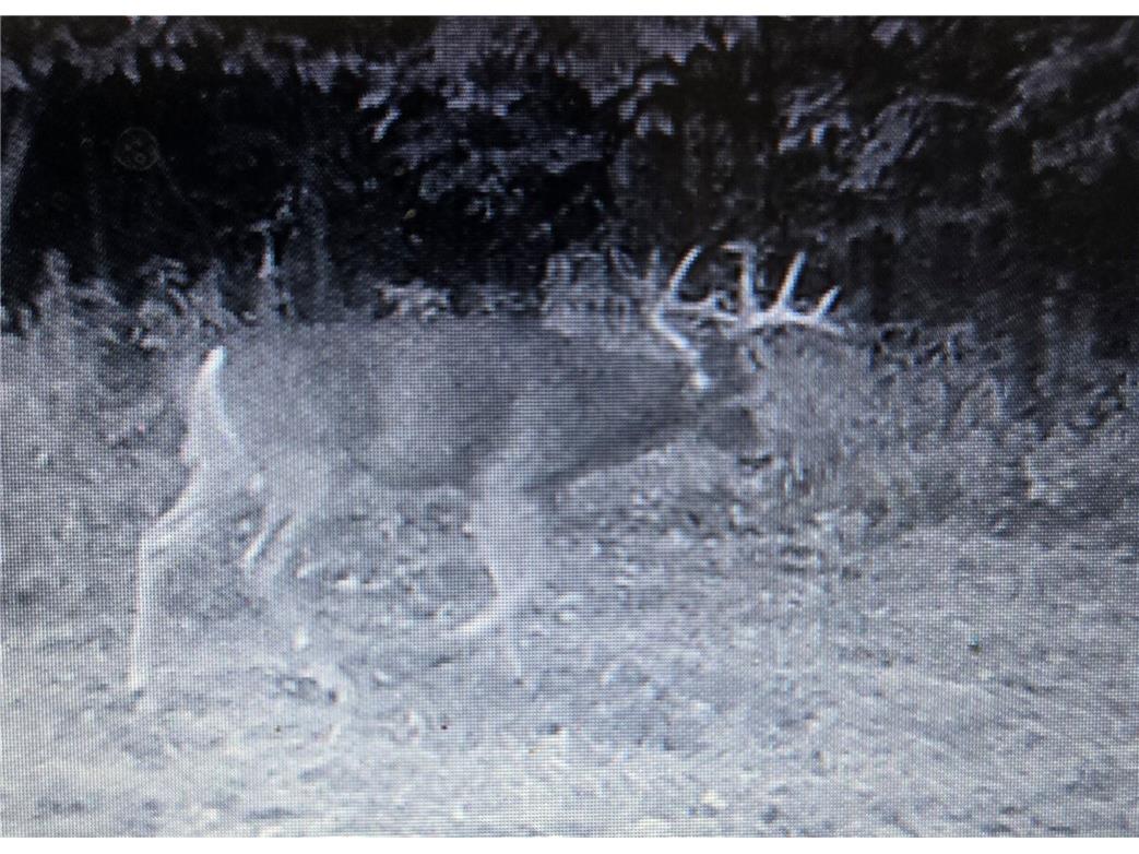 N 900 Joes Road Conrath WI 54731 - Branch of Main Creek 1594406 image18