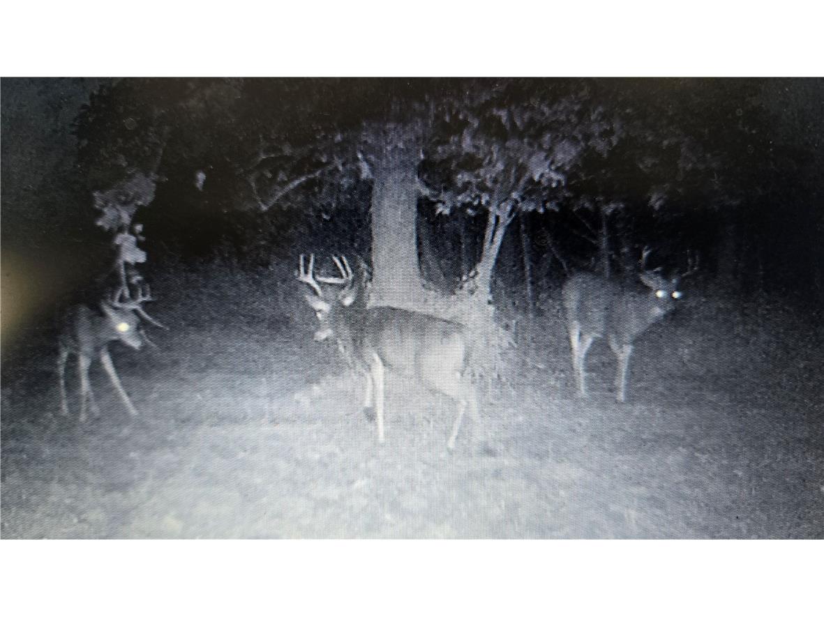 N 900 Joes Road Conrath WI 54731 - Branch of Main Creek 1594406 image20