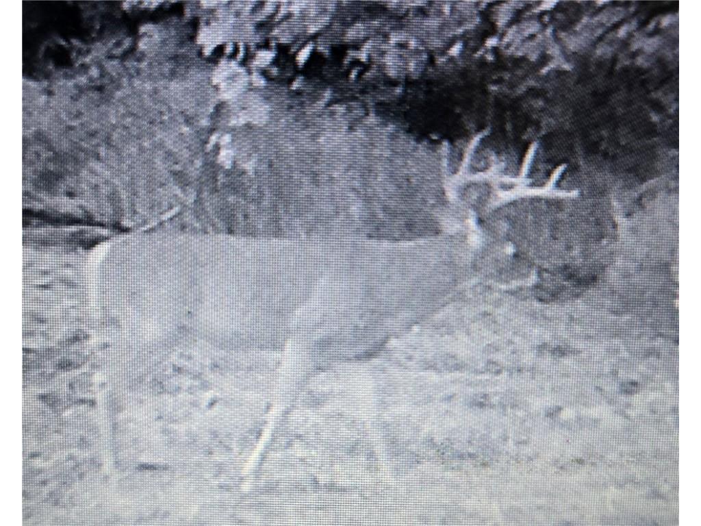 N 900 Joes Road Conrath WI 54731 - Branch of Main Creek 1594406 image24